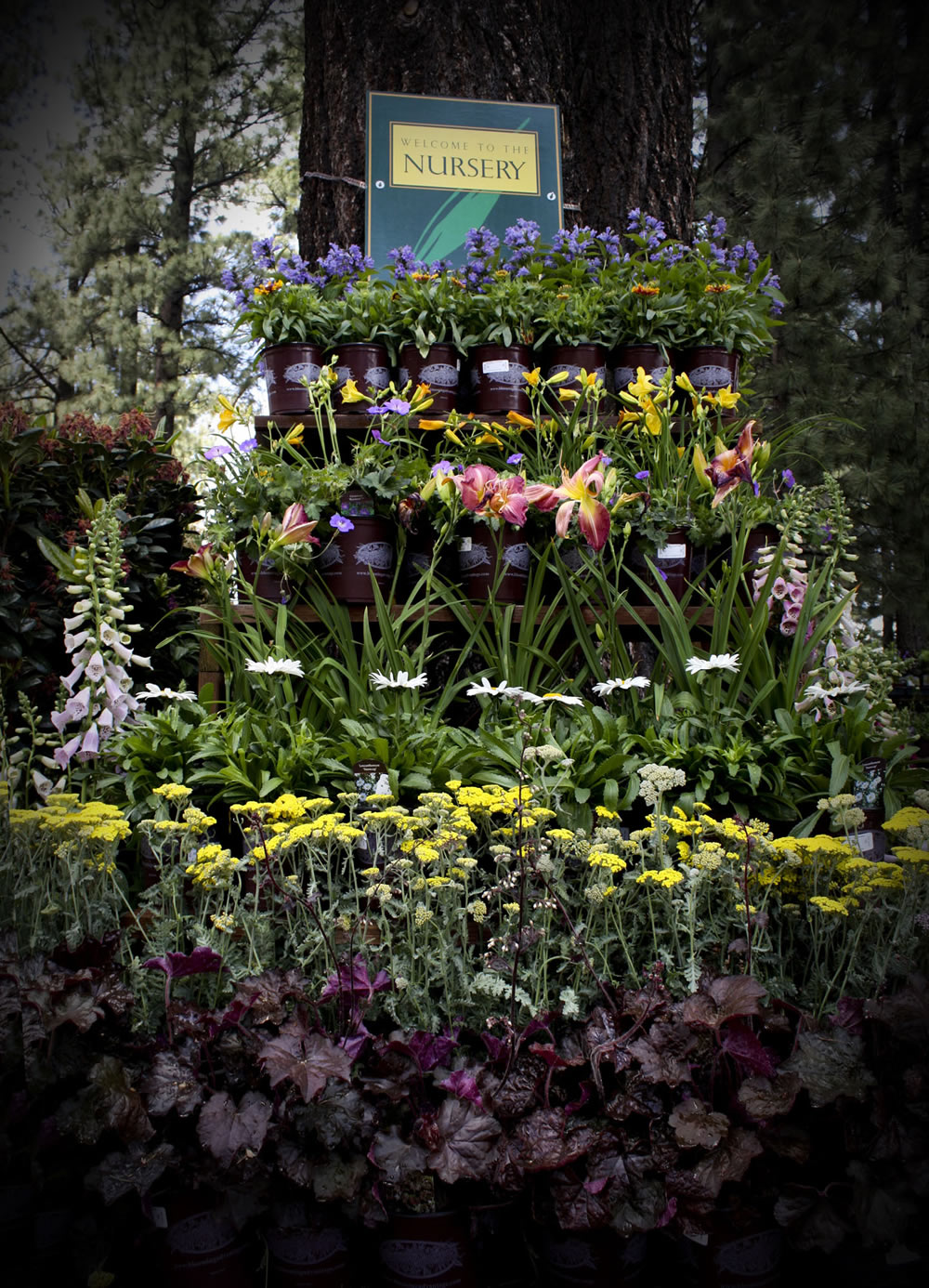 nursery_display