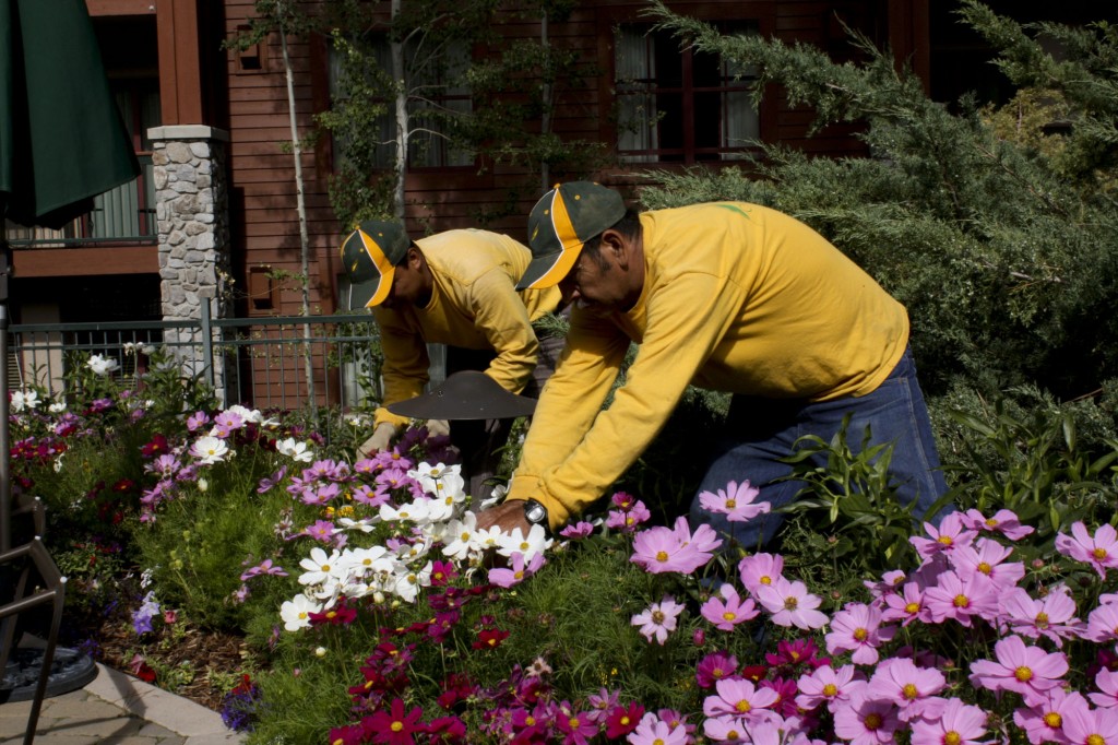 gardening_8