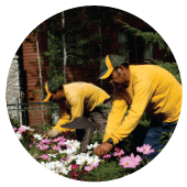 gardening-services-south-lake-tahoe