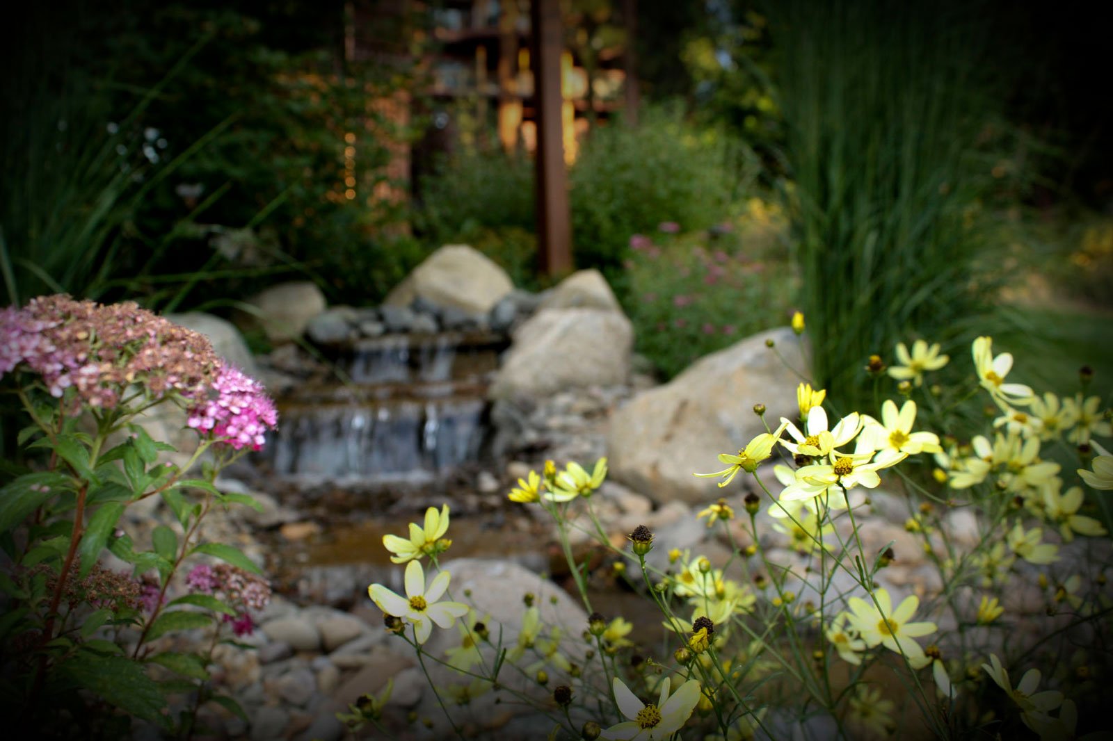 perennials and annuals incorporated into water feature