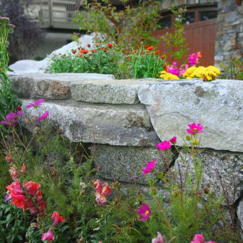 retaining wall with annuals and perennials