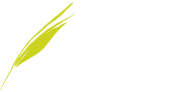 Tahoe Outdoor Living