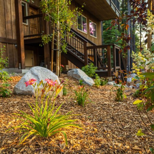 annuals and perennials tahoe outdoor living